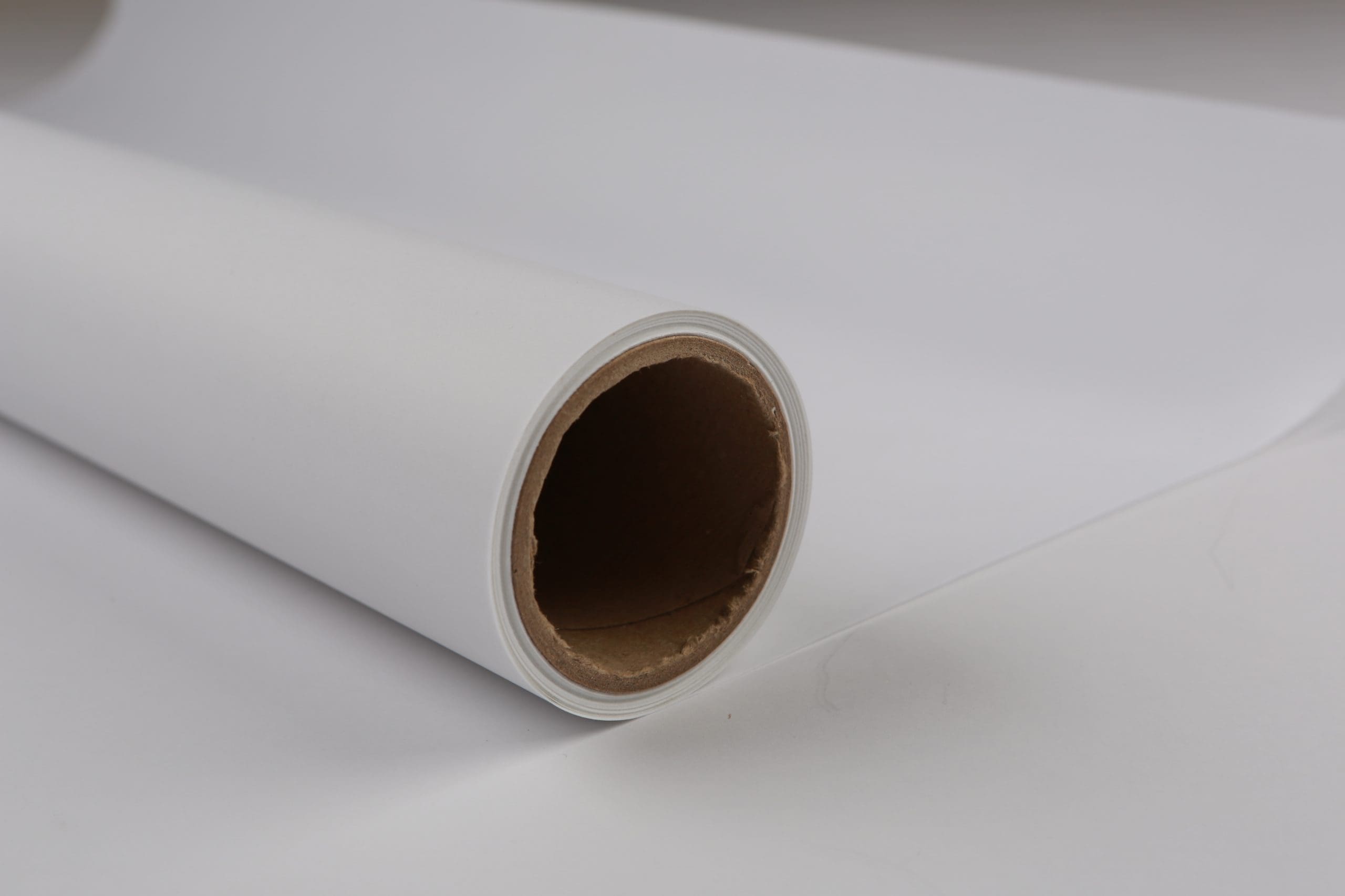 Heavy Vellum 24" x 30'